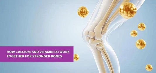 Illustration of a human knee joint with golden vitamin D3 and calcium molecules, highlighting strong bones, wellness, and supplements from Phlox.